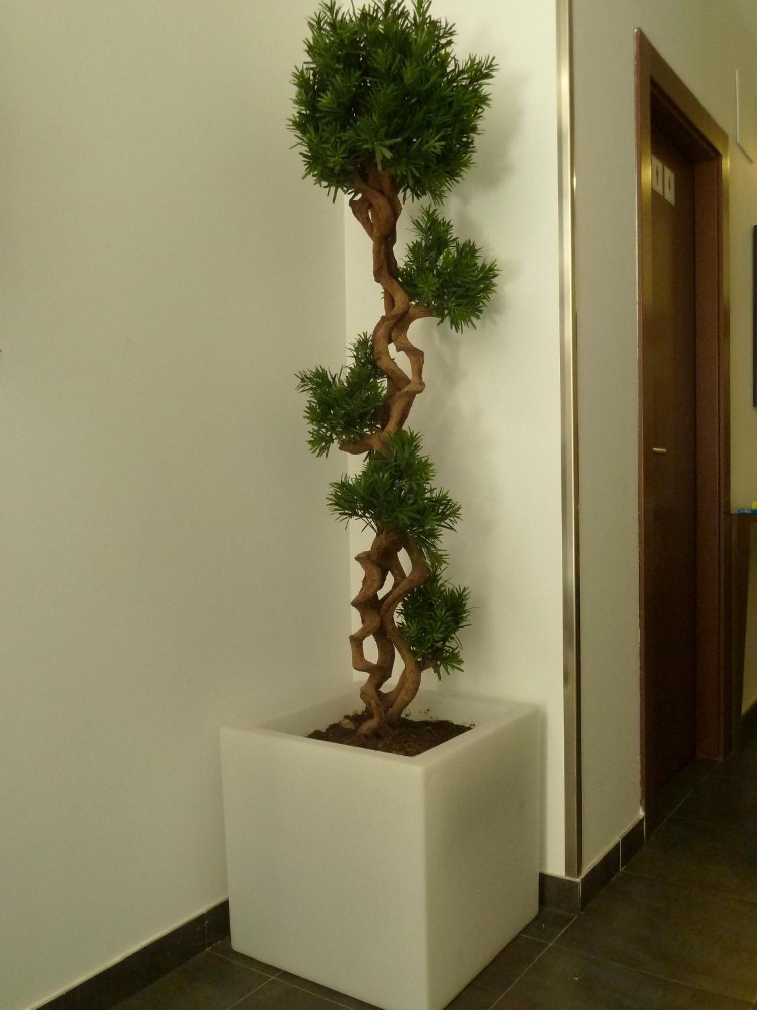 San Mateo de Gállego Arcohotel מראה חיצוני תמונה